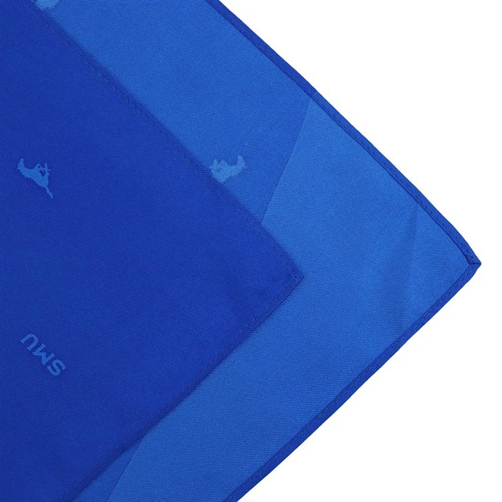 Blue Animal Print Scarf